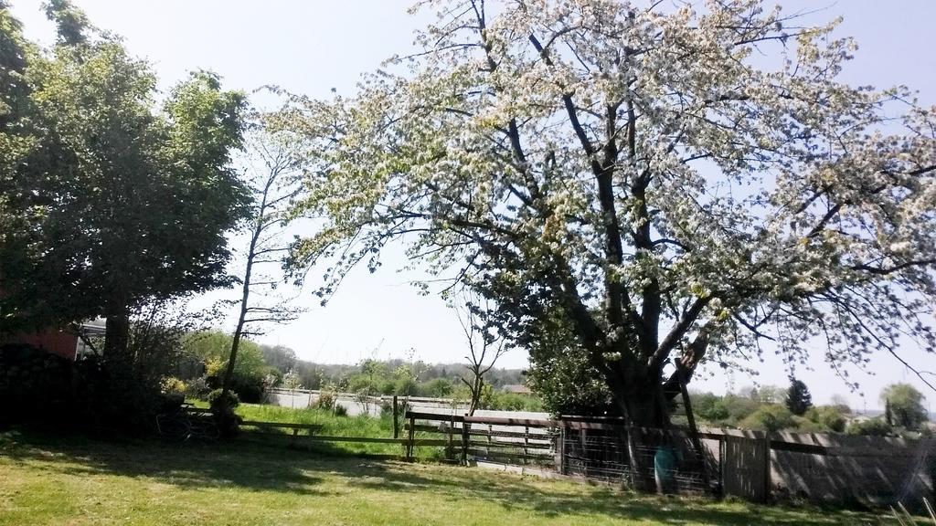 Gite Labradors De Bailly - Giverny Saint-Pierre-la-Garenne Екстериор снимка